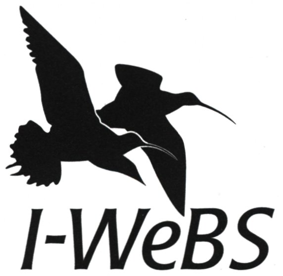 I-Webs Logo